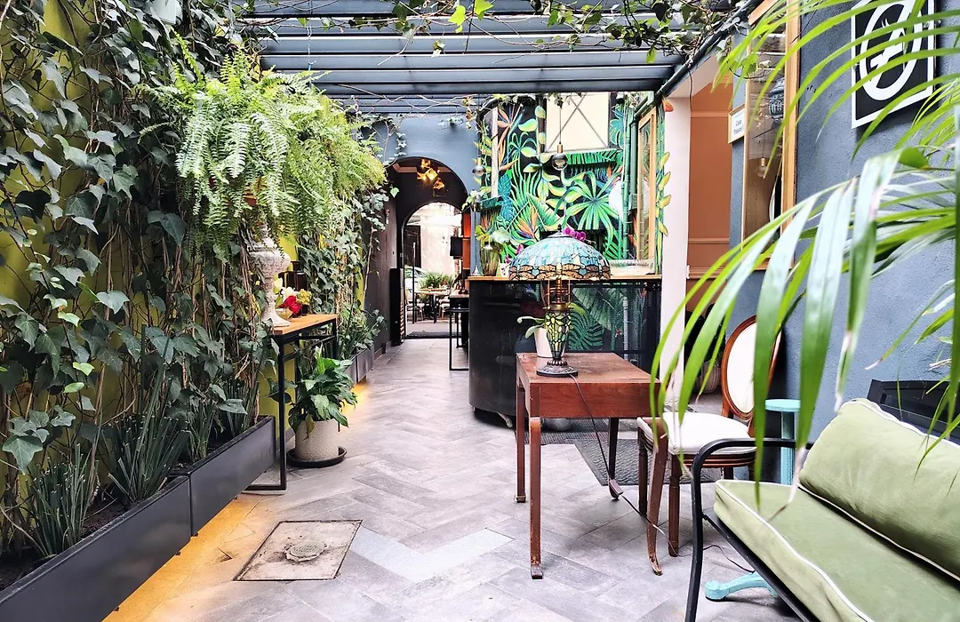 Casa Pánuco-1
